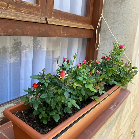 Casa Queral Xerta